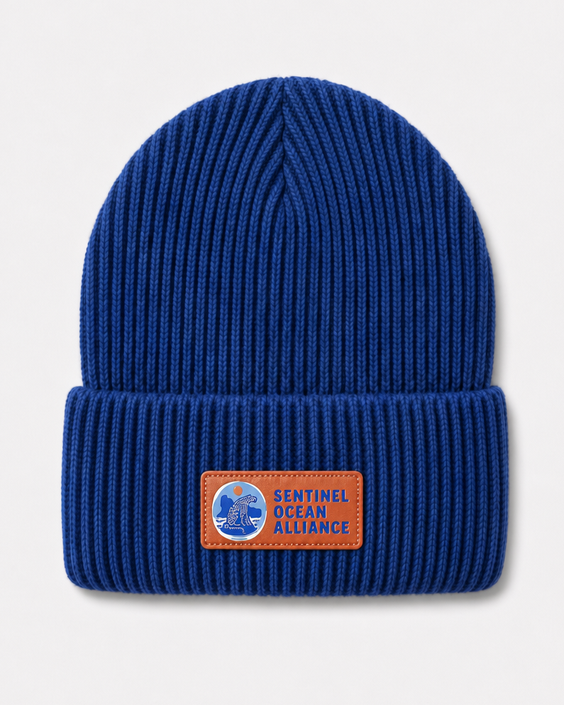 SOA Core Beanie In Navy